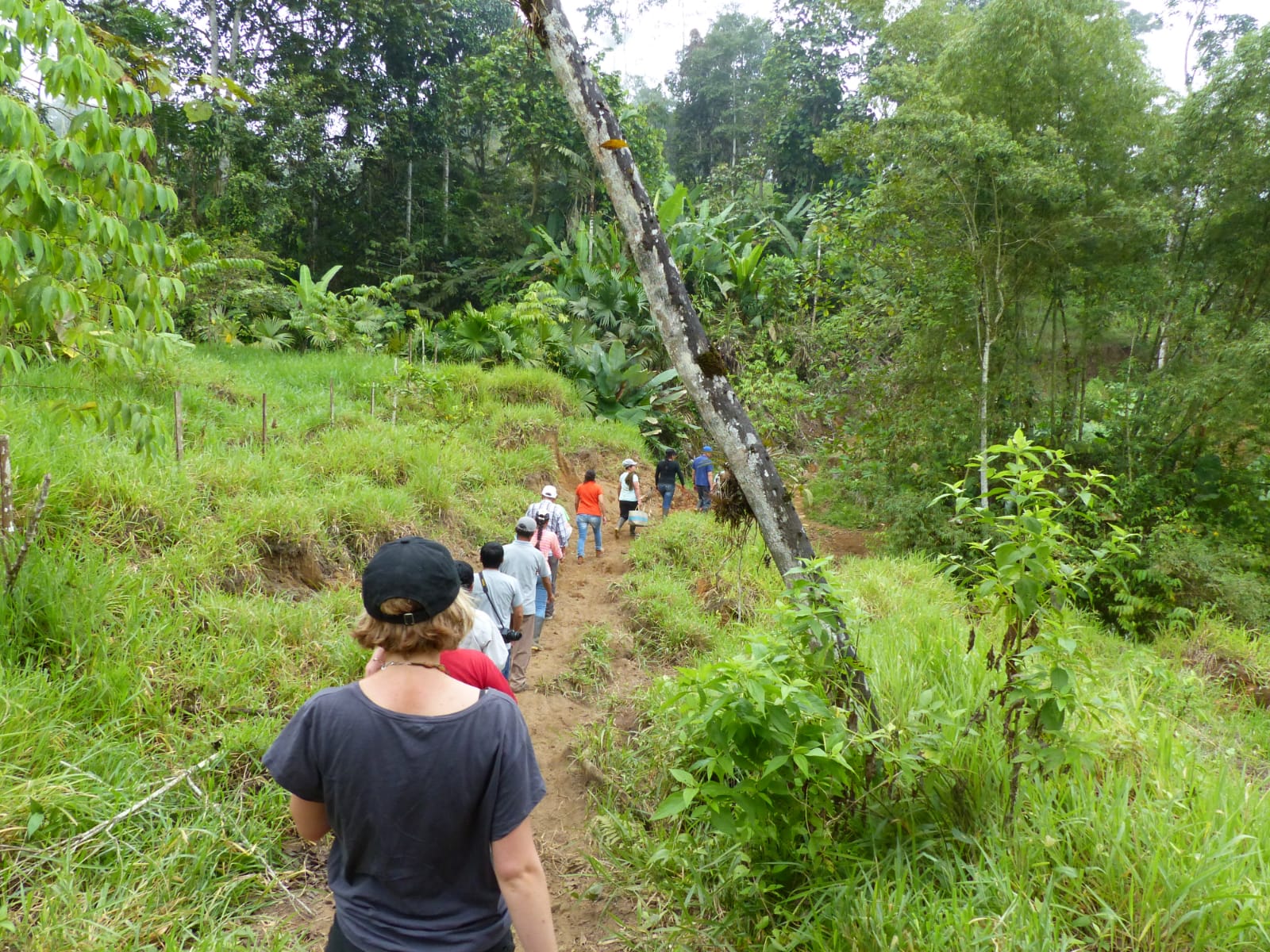 Voluntarios recorriendo un sendero en la naturaleza