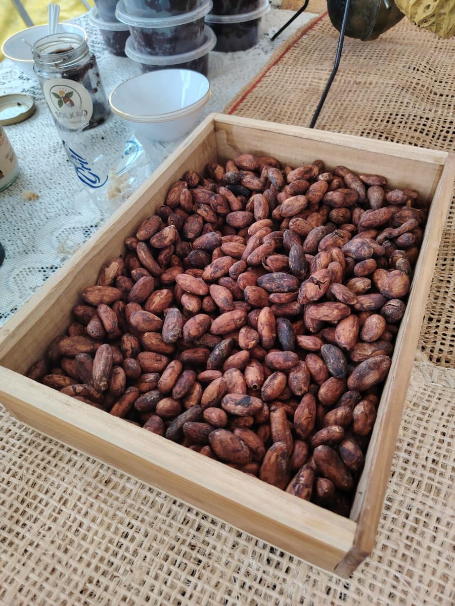 Granos de cacao tostados