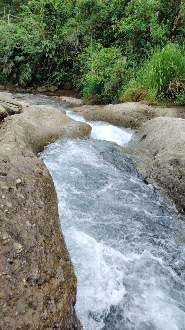 Río y naturaleza de San Luis de Pambil